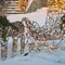 Warm White LED Reindeer with Sleigh, Sparkling Outdoor Christmas Decor
